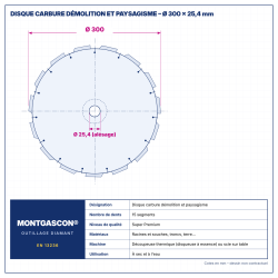 Plan technique coté – Disque carbure démolition et paysagisme Ø 300 mm – alésage 25,4 mm Montgascon®