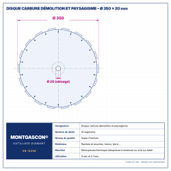 Plan technique coté – Disque carbure démolition et paysagisme Ø 350 mm – alésage 20 mm Montgascon®