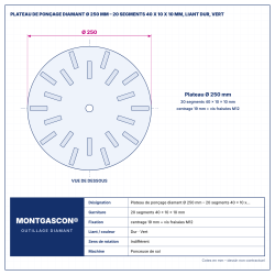 Plan technique coté – Plateau de ponçage diamant Ø 250 mm Montgascon® – 20 segments 40 x 10 x 10 mm, liant dur, vert