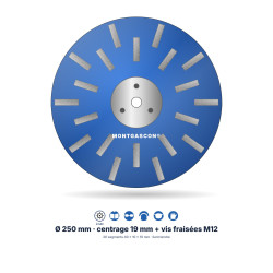 Plateau de ponçage diamant Ø 250 mm Montgascon® – 20 segments 40 x 10 x 10 mm, liant tendre, bleu