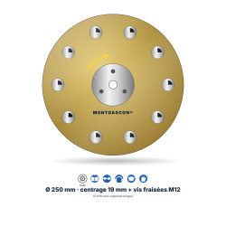 Plateau de ponçage PCD Ø 250 mm Montgascon® – 12 PCD avec segments d'appui, or, rotation droite
