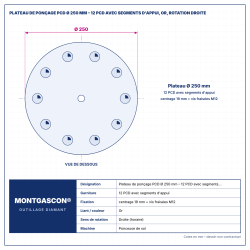 Plan technique coté – Plateau de ponçage PCD Ø 250 mm Montgascon® – 12 PCD avec segments d'appui, or, rotation droite