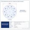 Plan technique coté – Plateau de ponçage PCD Étoile Ø 250 mm Montgascon® – 10 PCD + 10 segments d'appui, argent, rotation droite