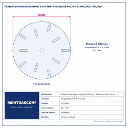 Plan technique coté – Plateau de ponçage diamant Ø 300 mm Montgascon® – 8 segments 40 x 10 x 10 mm, liant dur, vert